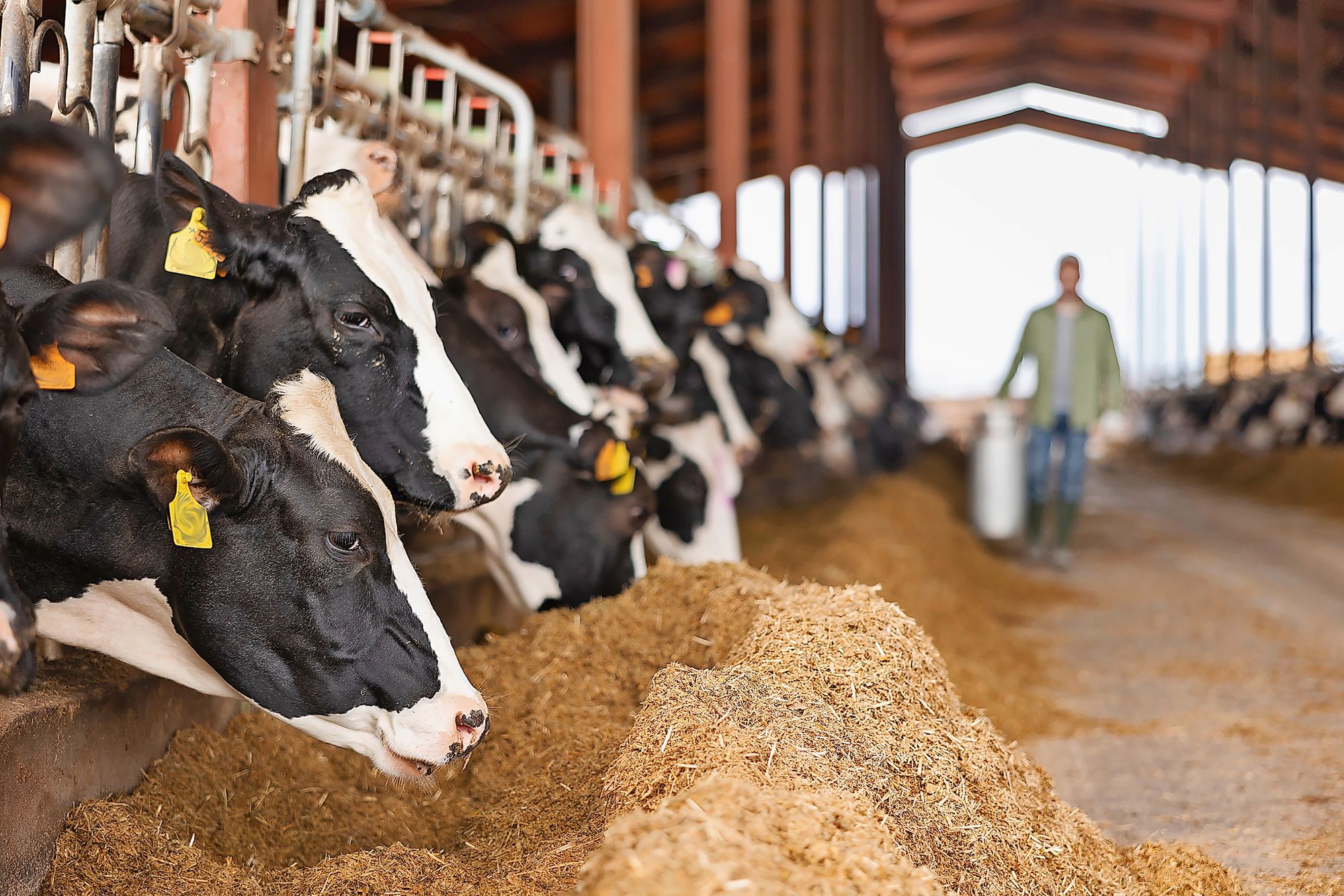 05_adobestock_1511989476jpeg