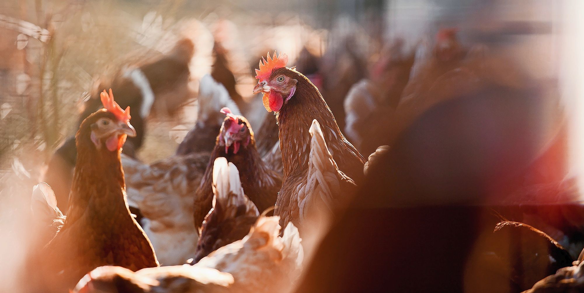 05_adobestock_290361504jpeg