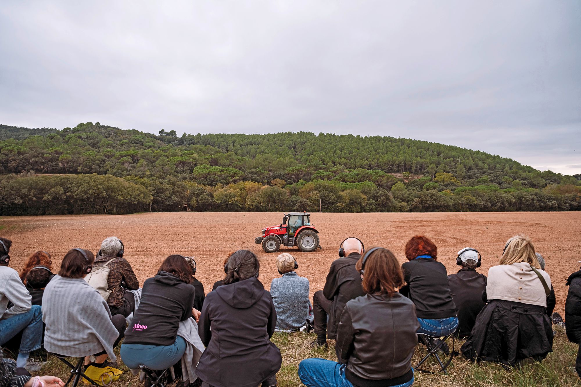 05_champ_shared-landscapesjpeg