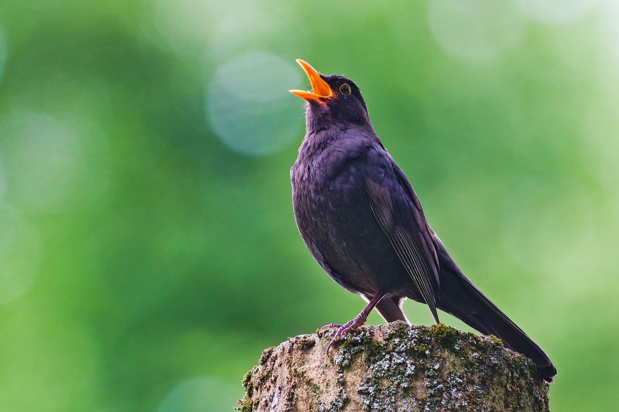 09_adobestock_841908169jpeg