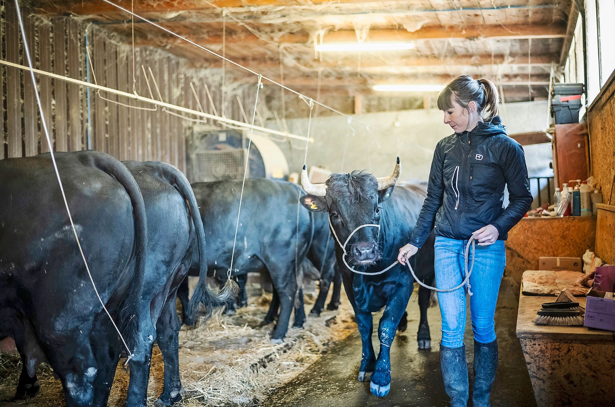 11_tn_eleveuseherens09jpeg