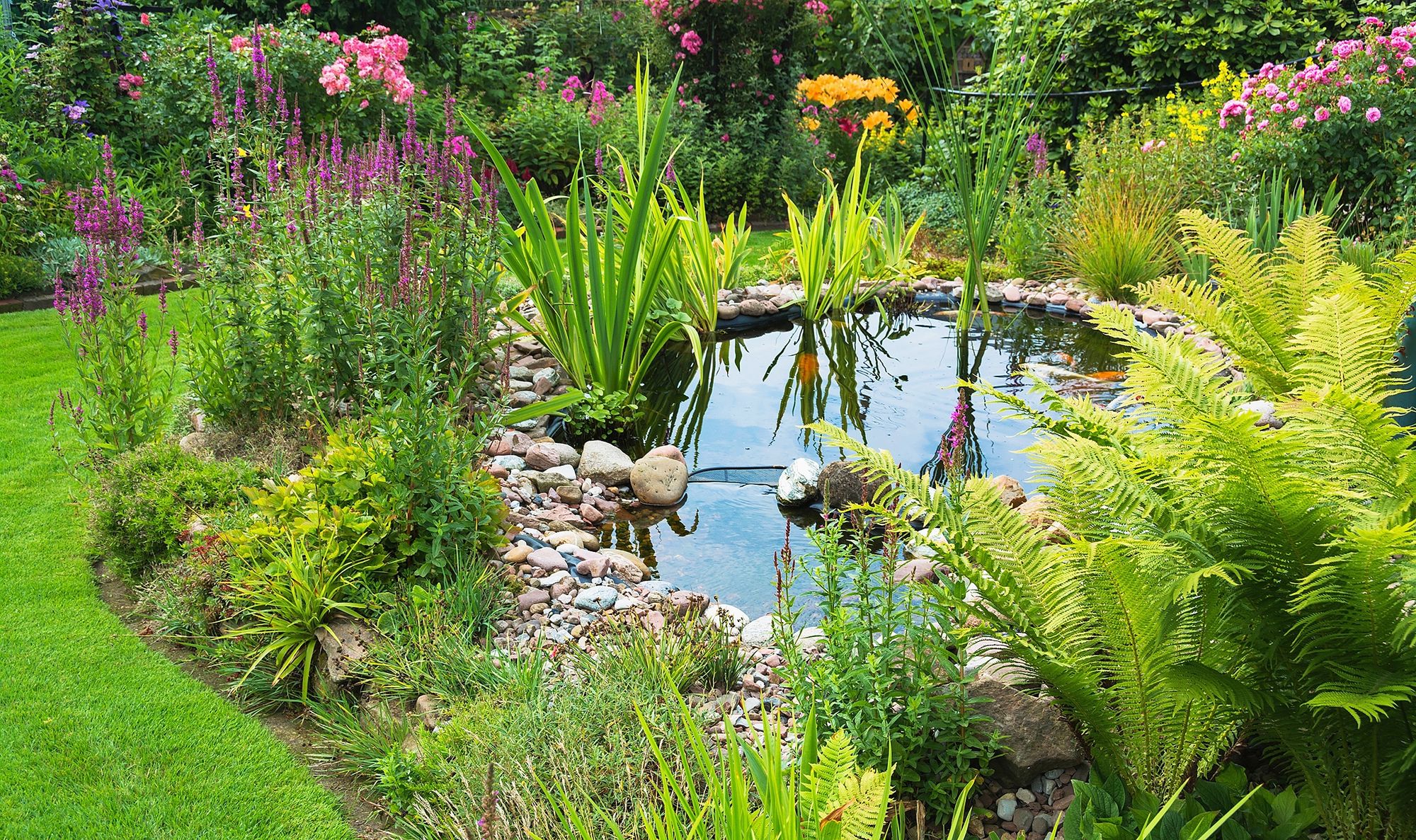 18_adobestock_136599016jpeg