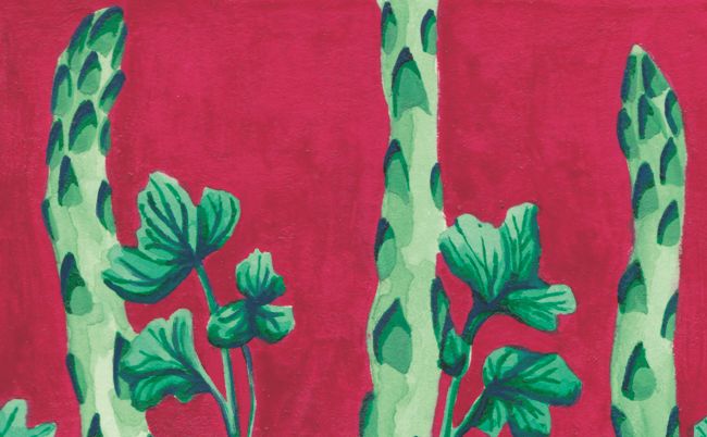 18_potager_petitformat_2jpeg