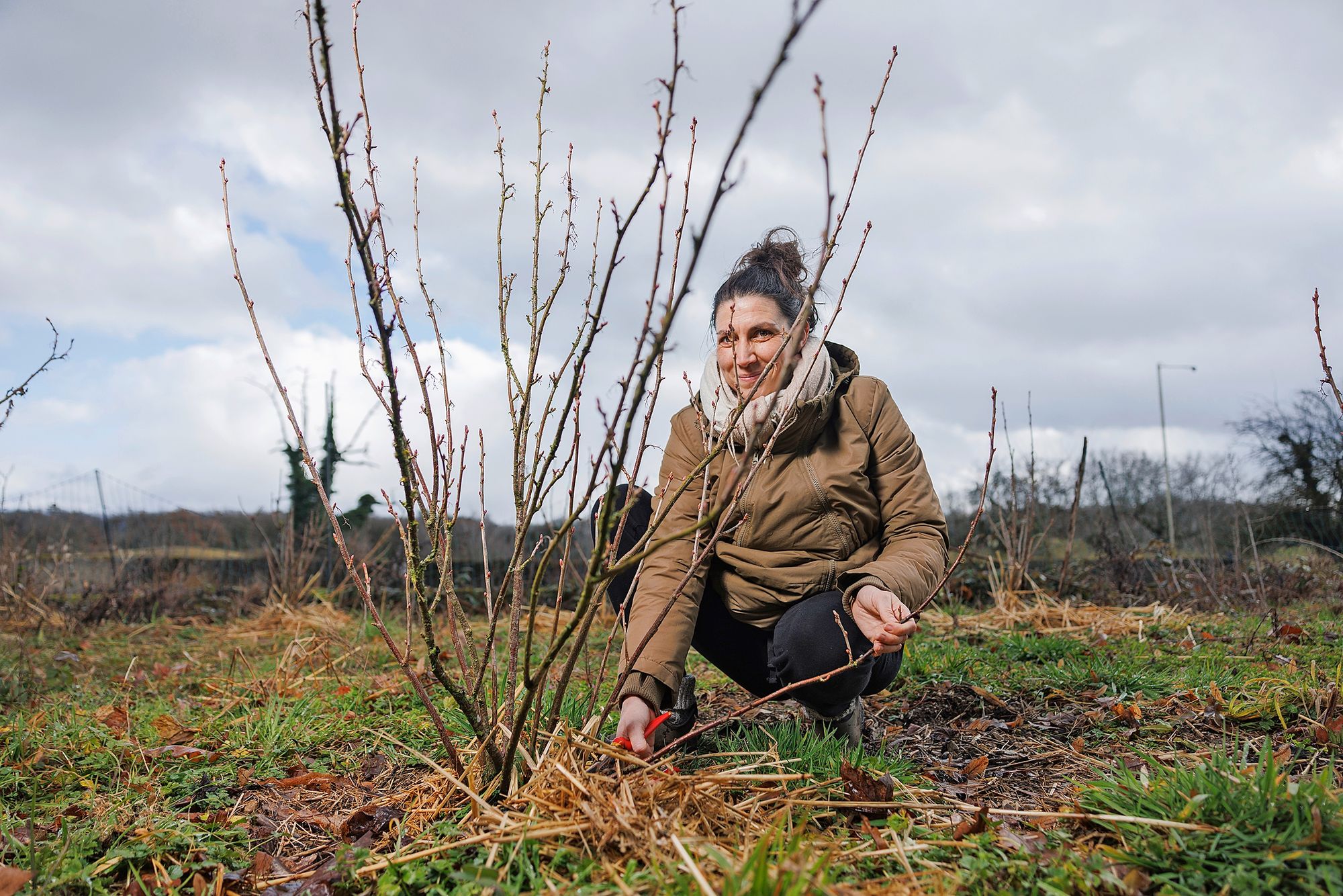 18_s2026021701_002jpeg