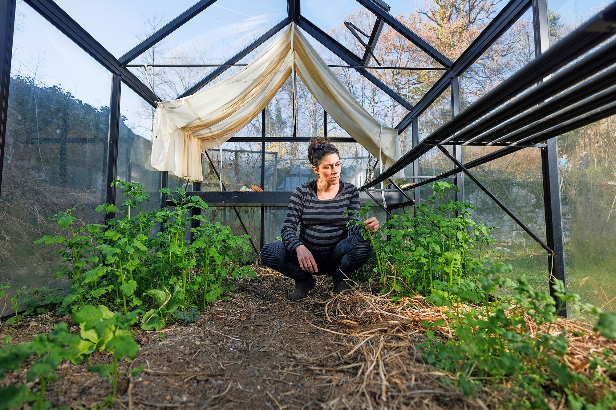 18_s2026030901_030jpeg