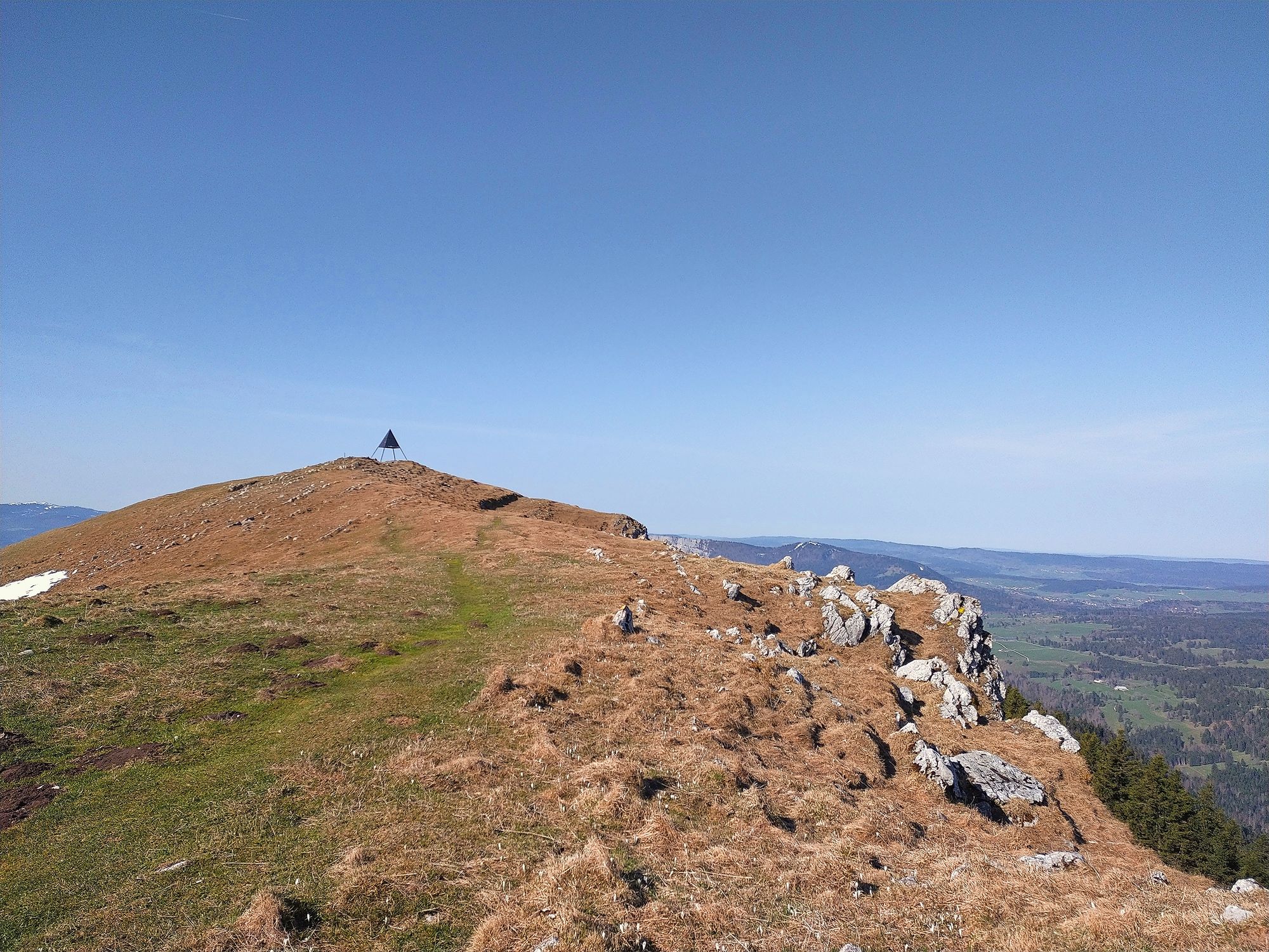 19_img_20260411_100242jpeg