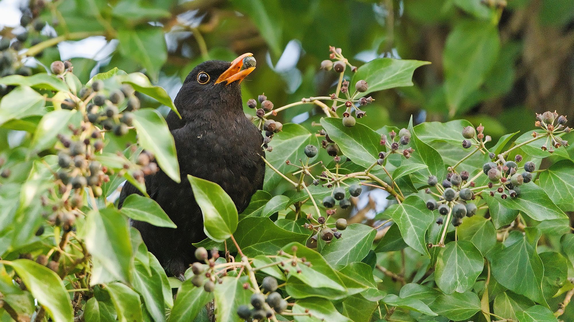 22_adobestock_1225763913jpeg