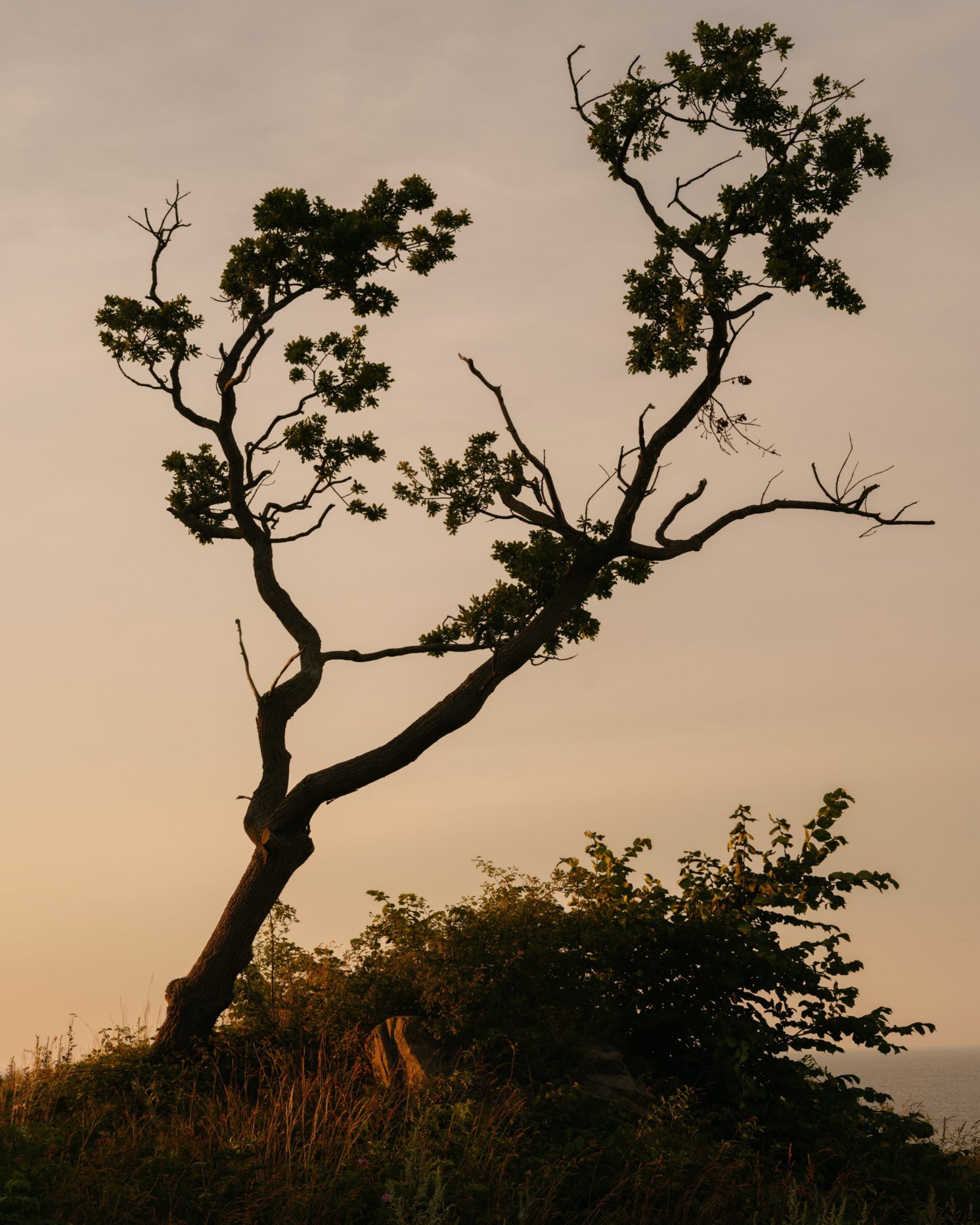 balade photographique