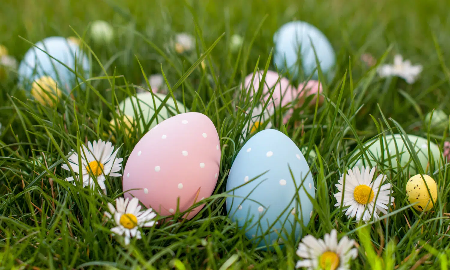 chasse aux œufs chateau dœx