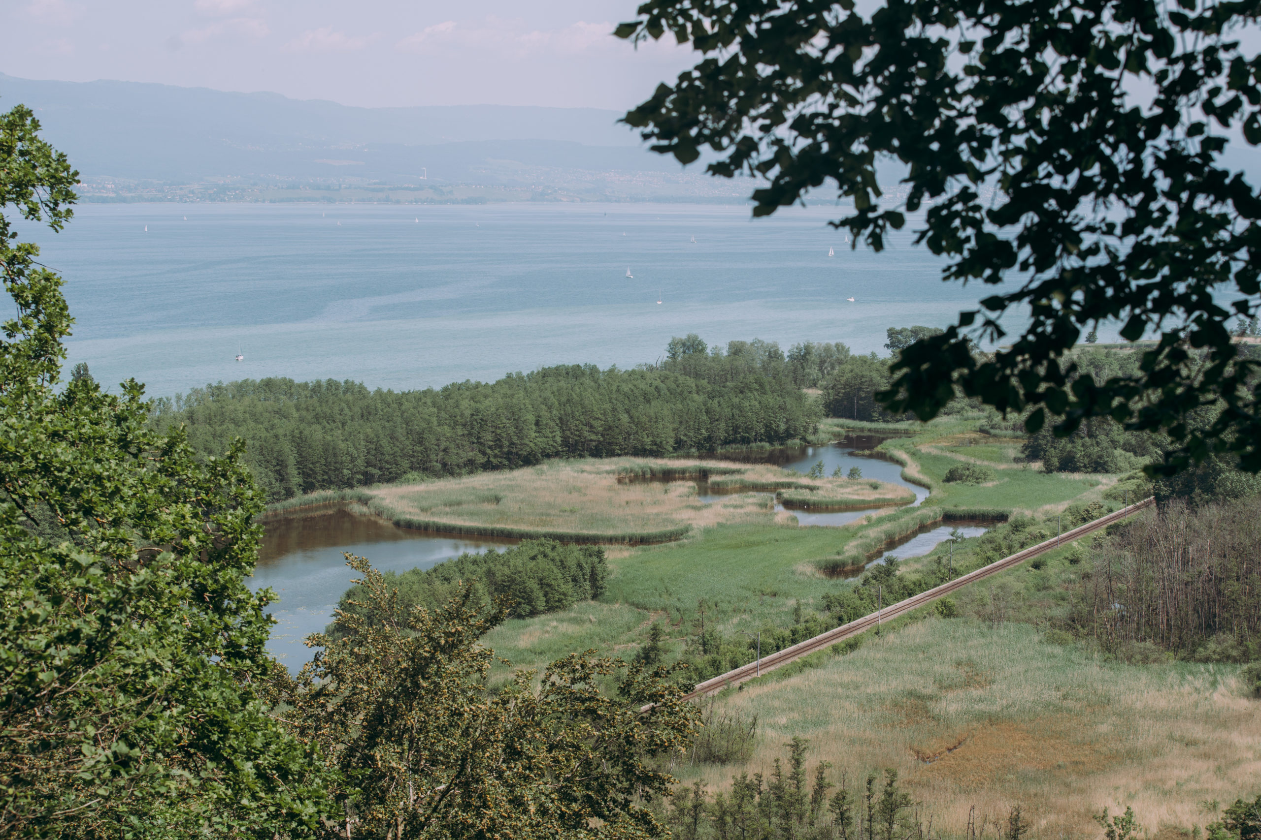 grande cariçaie-©pierre cuony photographies