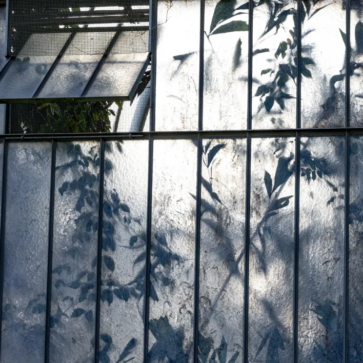 jardin botanique genèvejpg