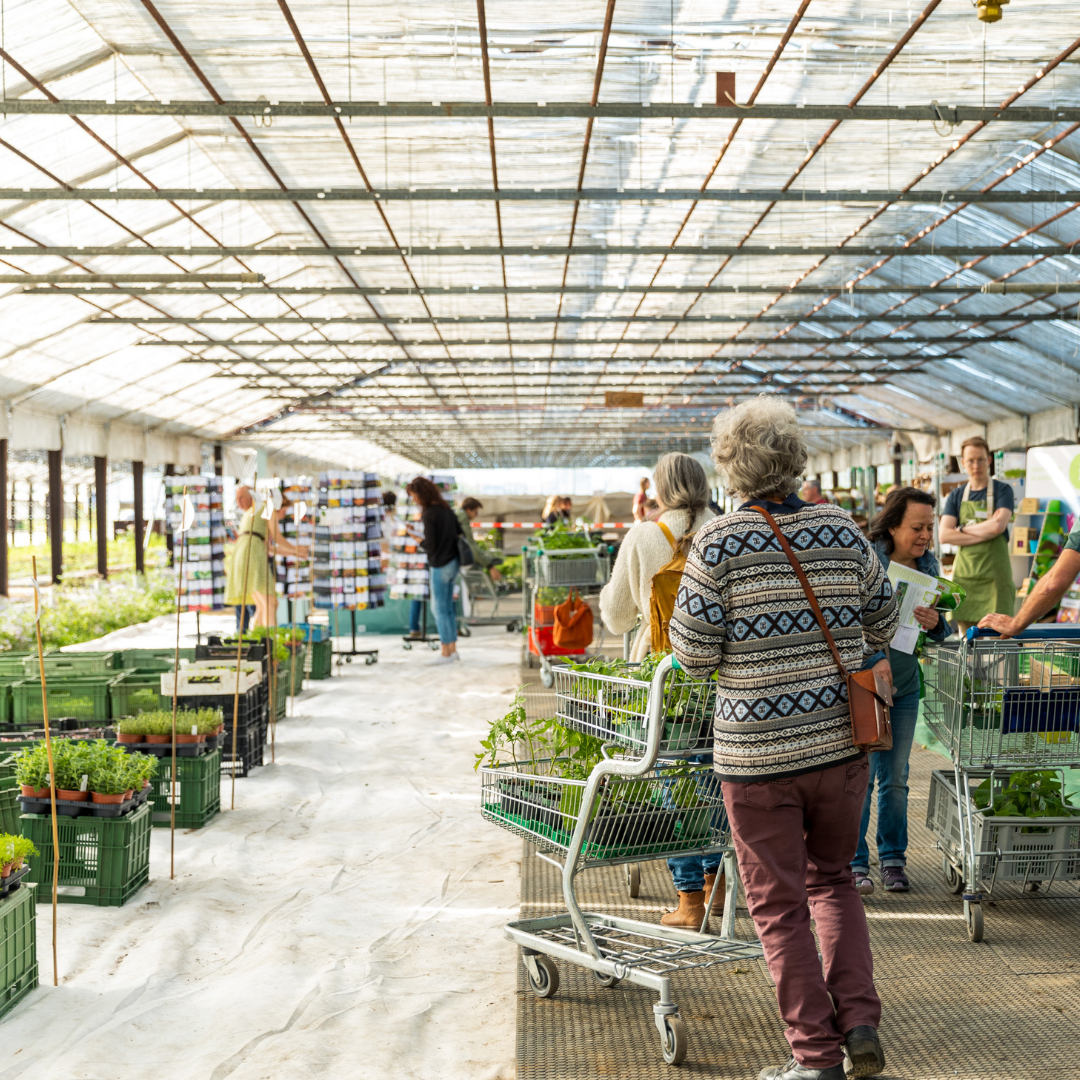 proch marché zollinger2