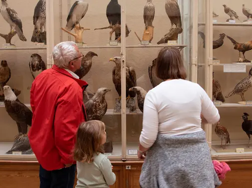 samedi animalier natureum