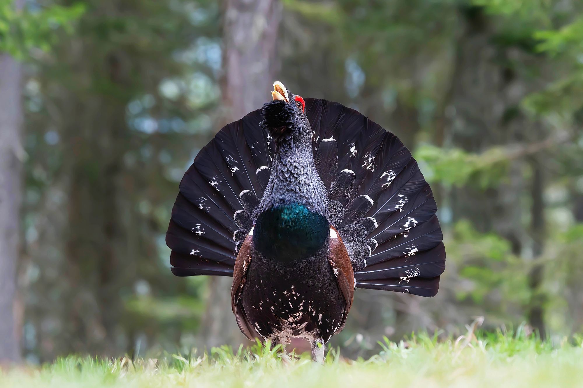 11_adobestock_1500056975jpeg