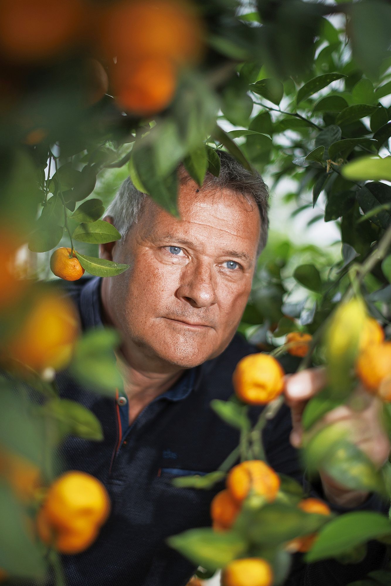 5_citrusland_s2026050501_010jpeg