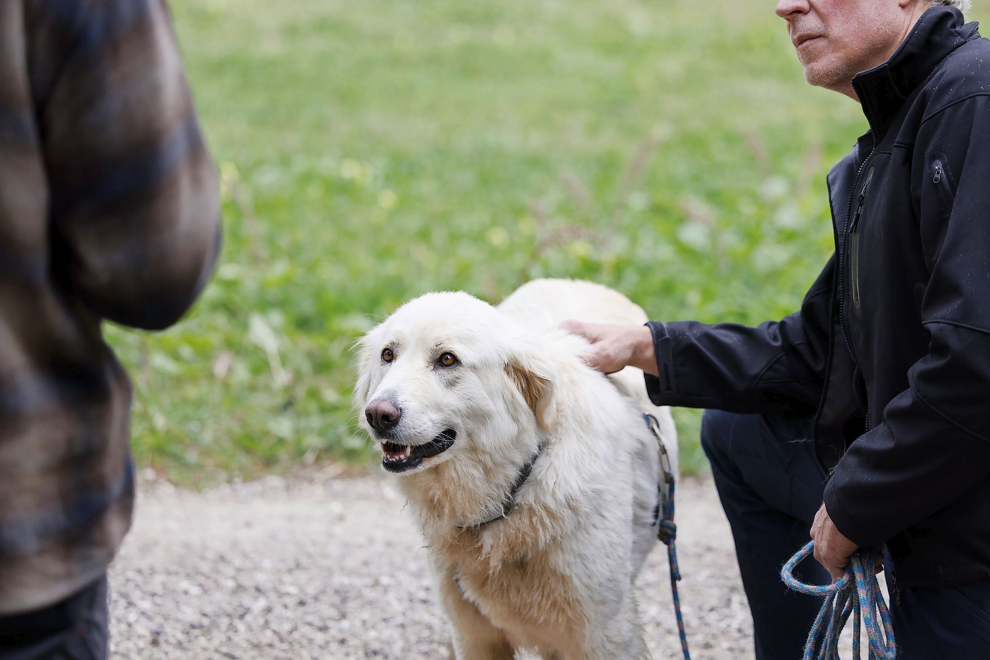 7_chiens_protection_05052026_©pierre_yves_massot_3789ent_id33jpeg