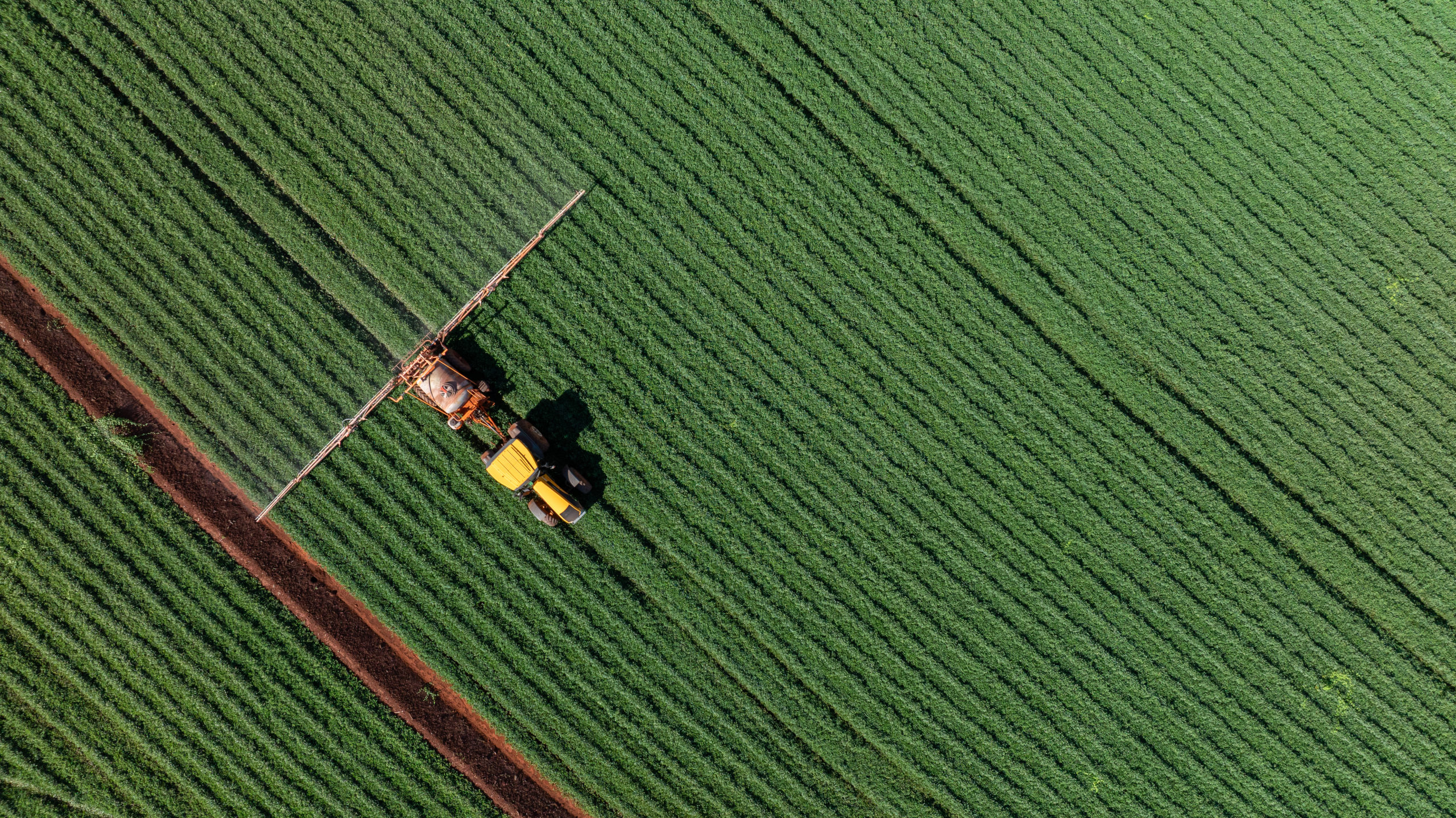 top down aerial view of a tractor spraying pesticides on a green peanut plantation