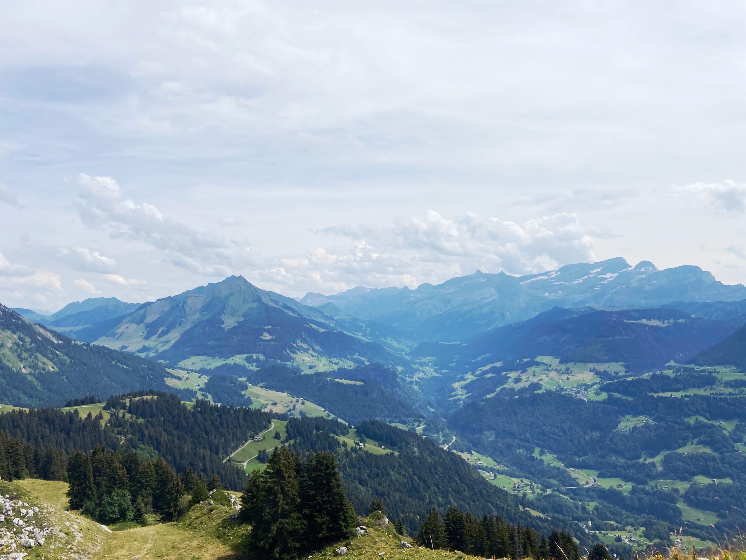 image00076