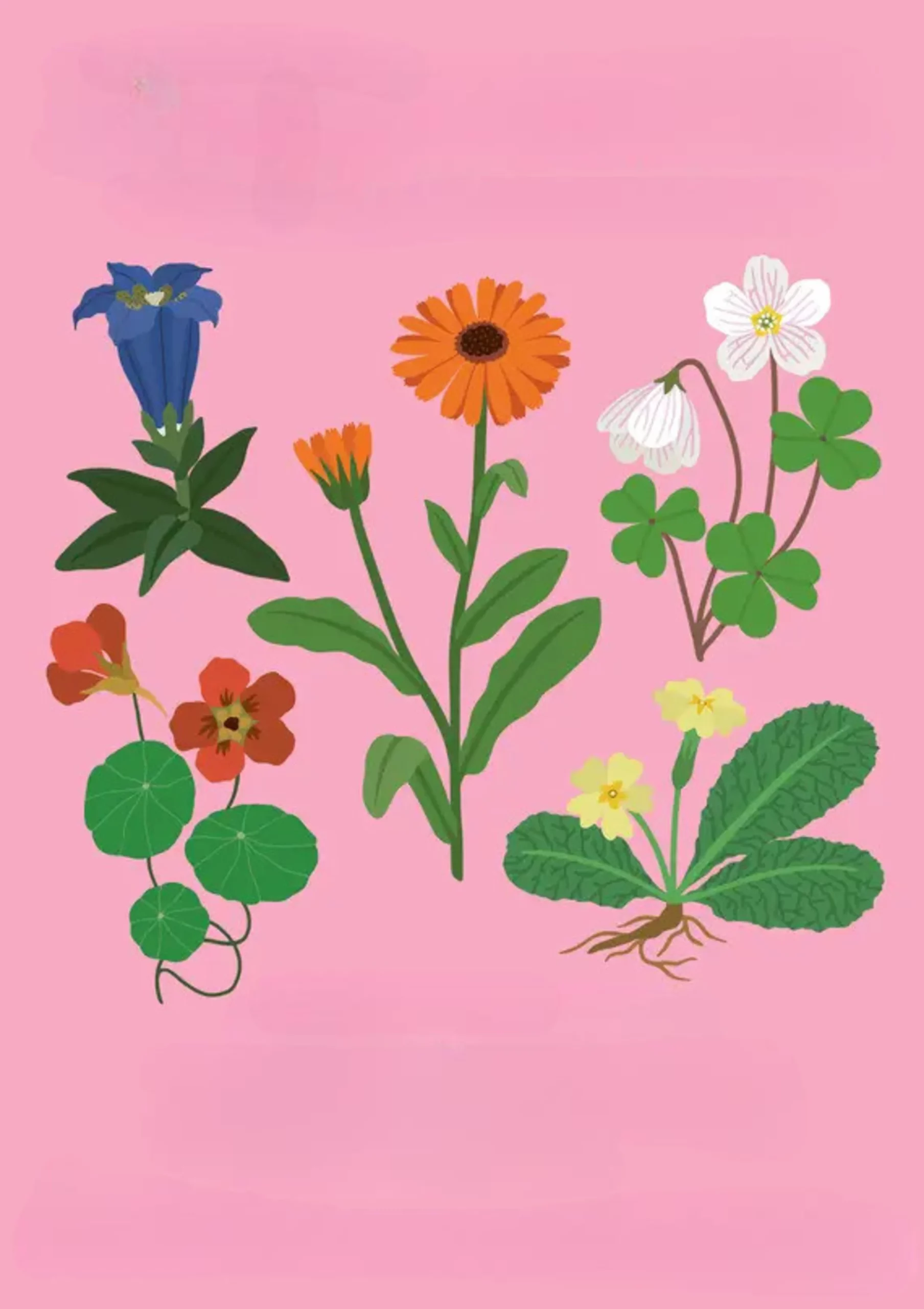 lt-exposition-florama-au-jardin-botanique-de-lausanne-tzw2en