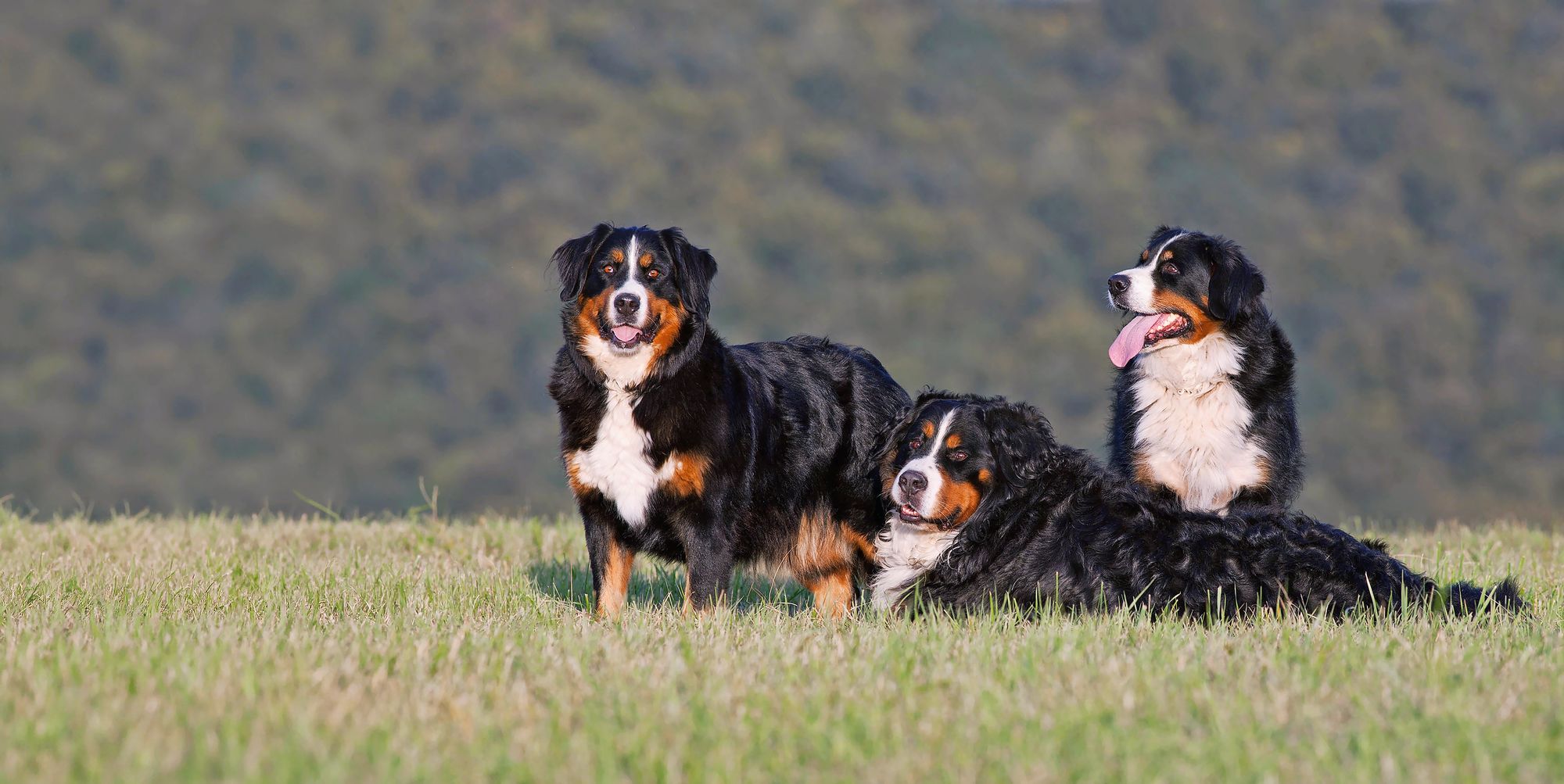 03_adobestock_134347926jpeg
