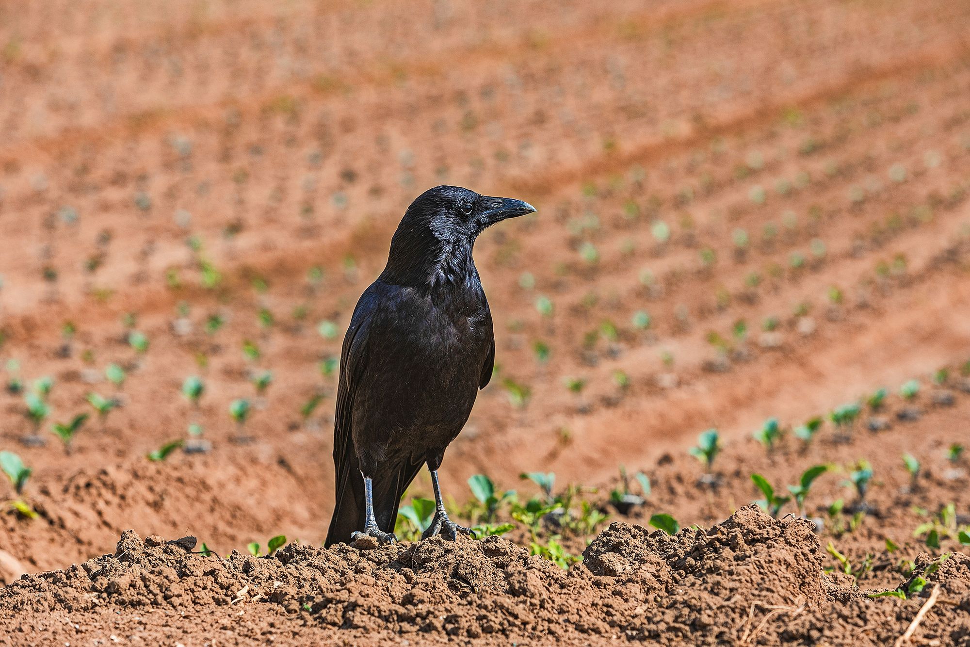 29_adobestock_906563258jpeg
