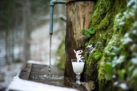 absinthe en fête