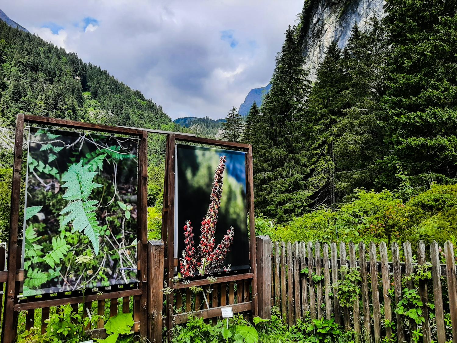 jardin alpin