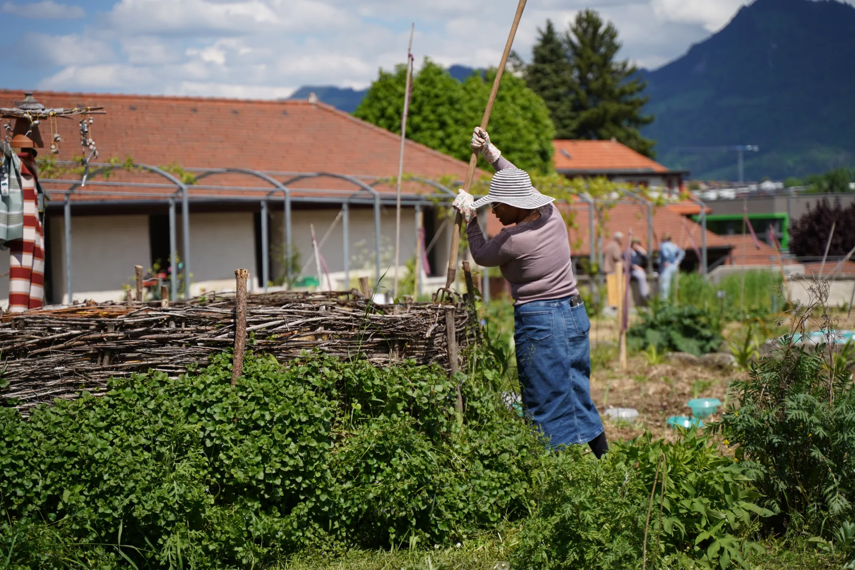 jardin des capucinsjpg