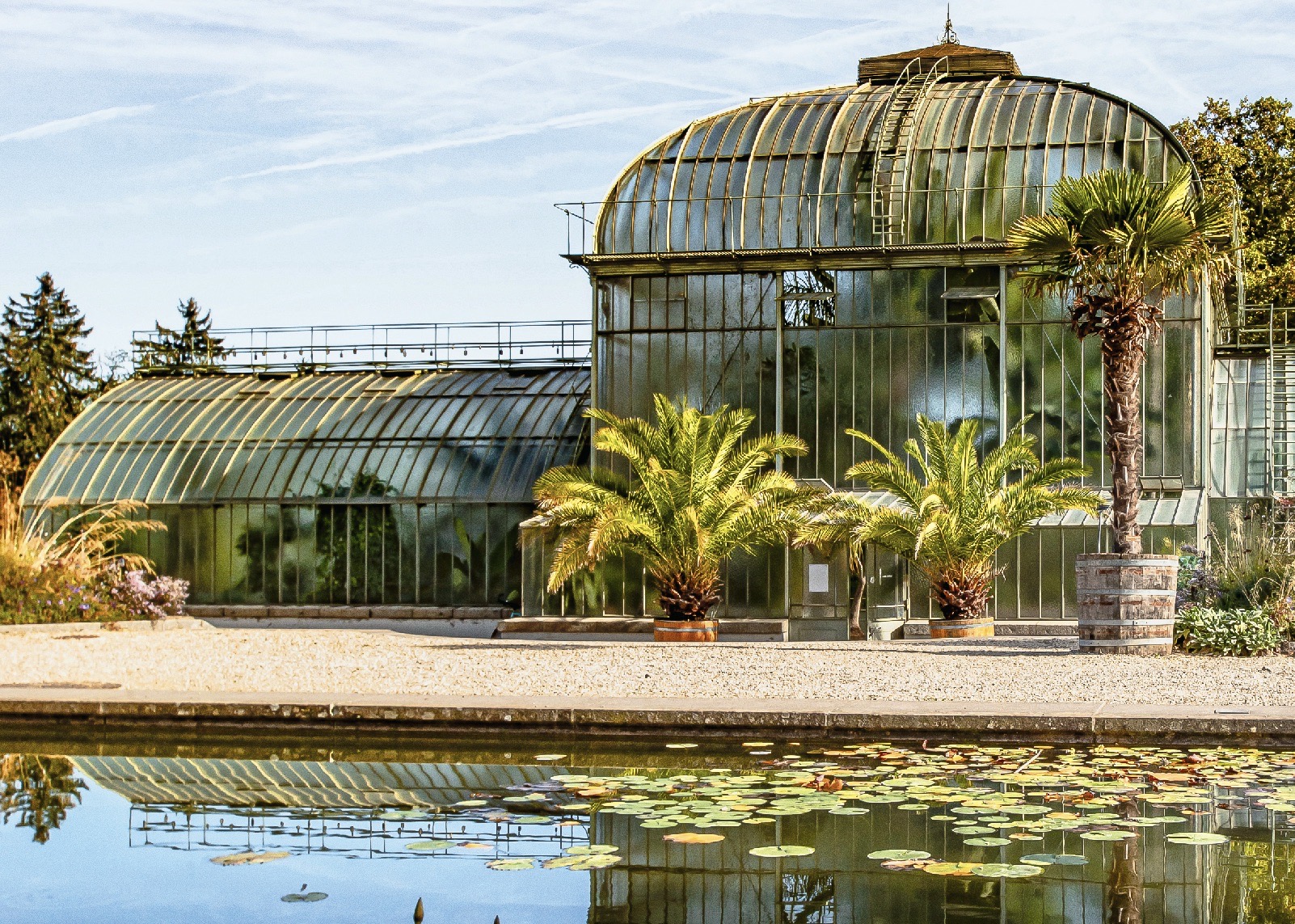 jardin dhiver