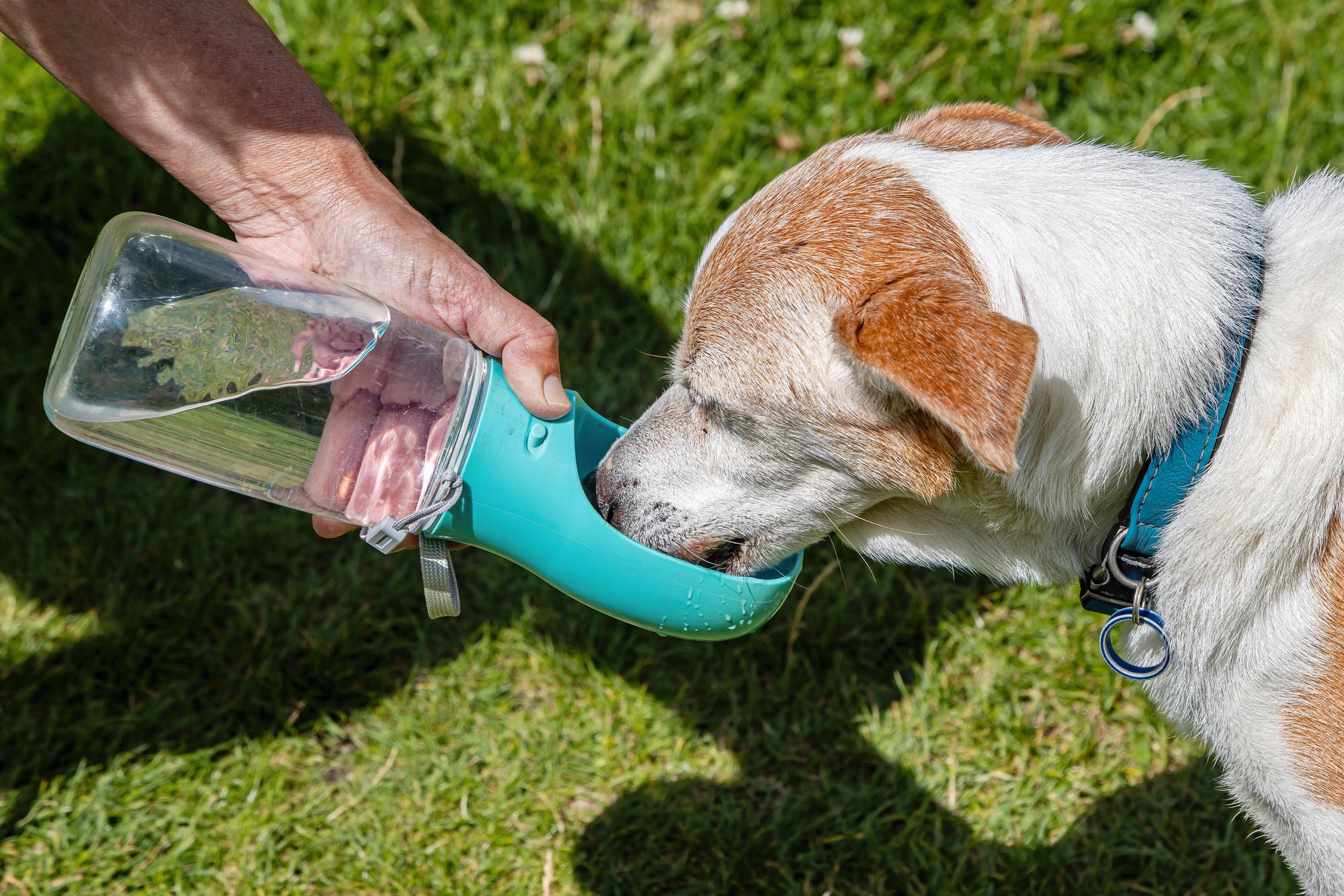 06_adobestock_913272070jpeg