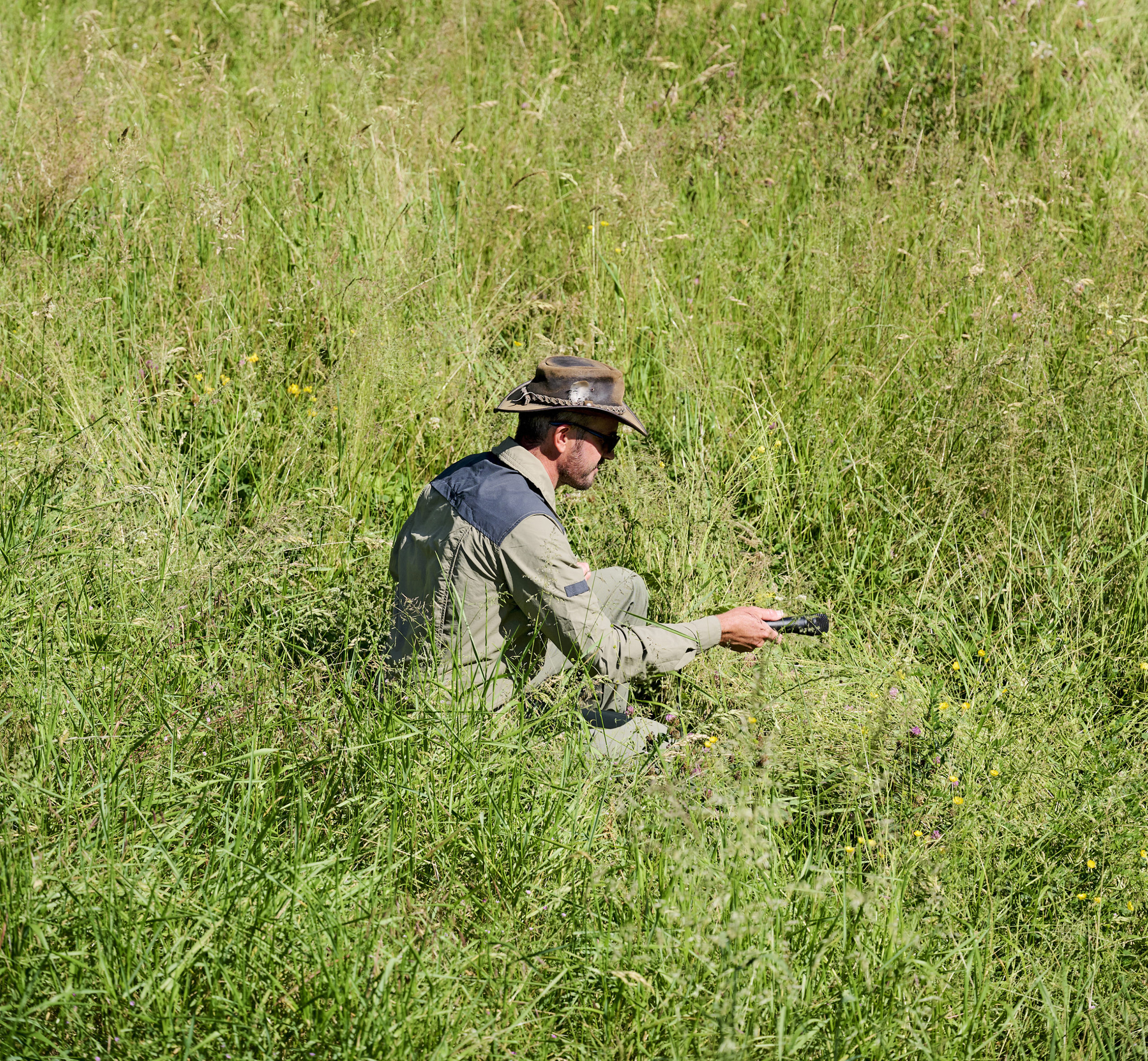 06_tn-insectesmusique-08