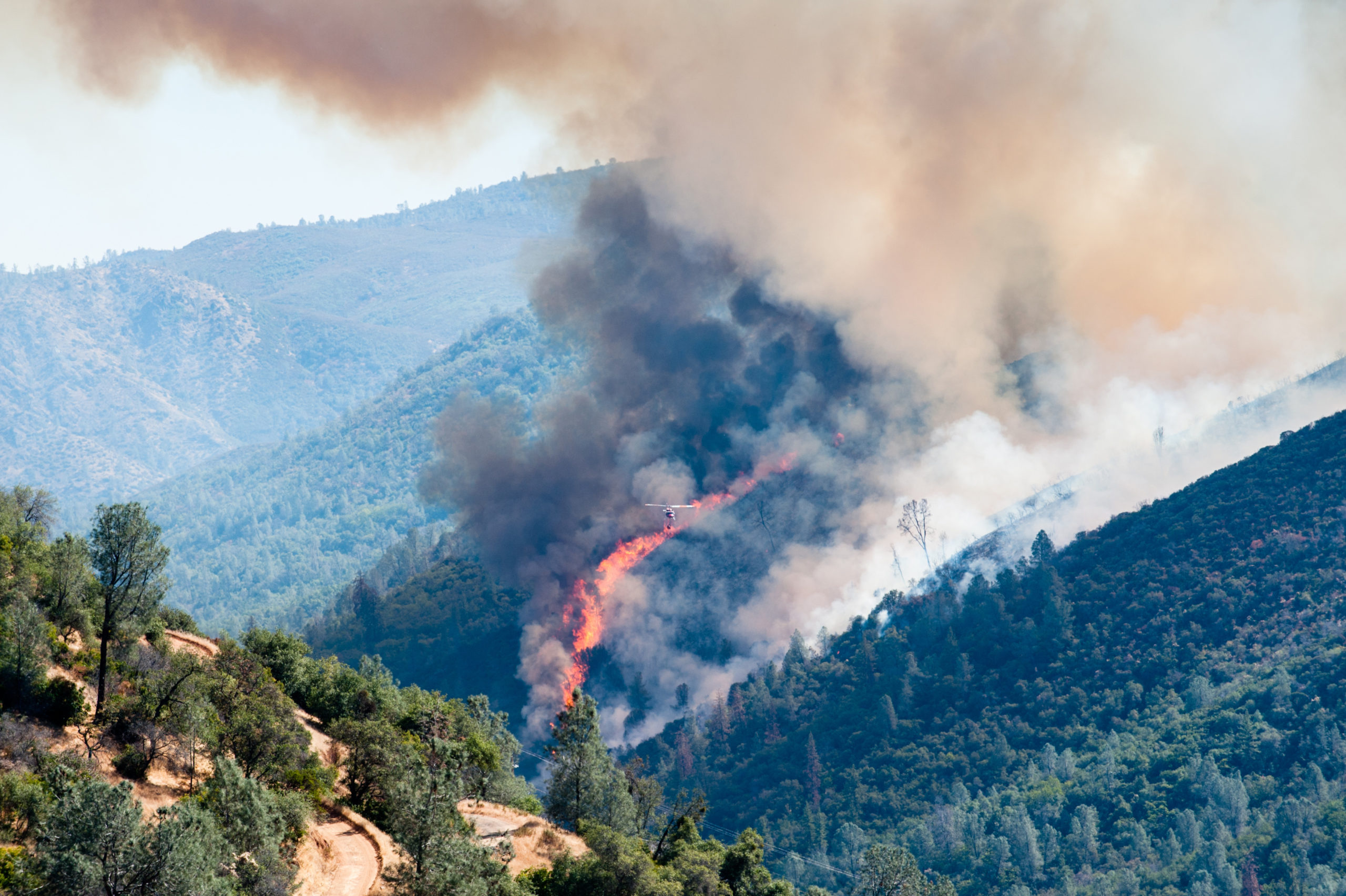 fire in pine forest in moccasin california