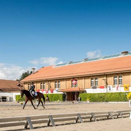 haras suisse
