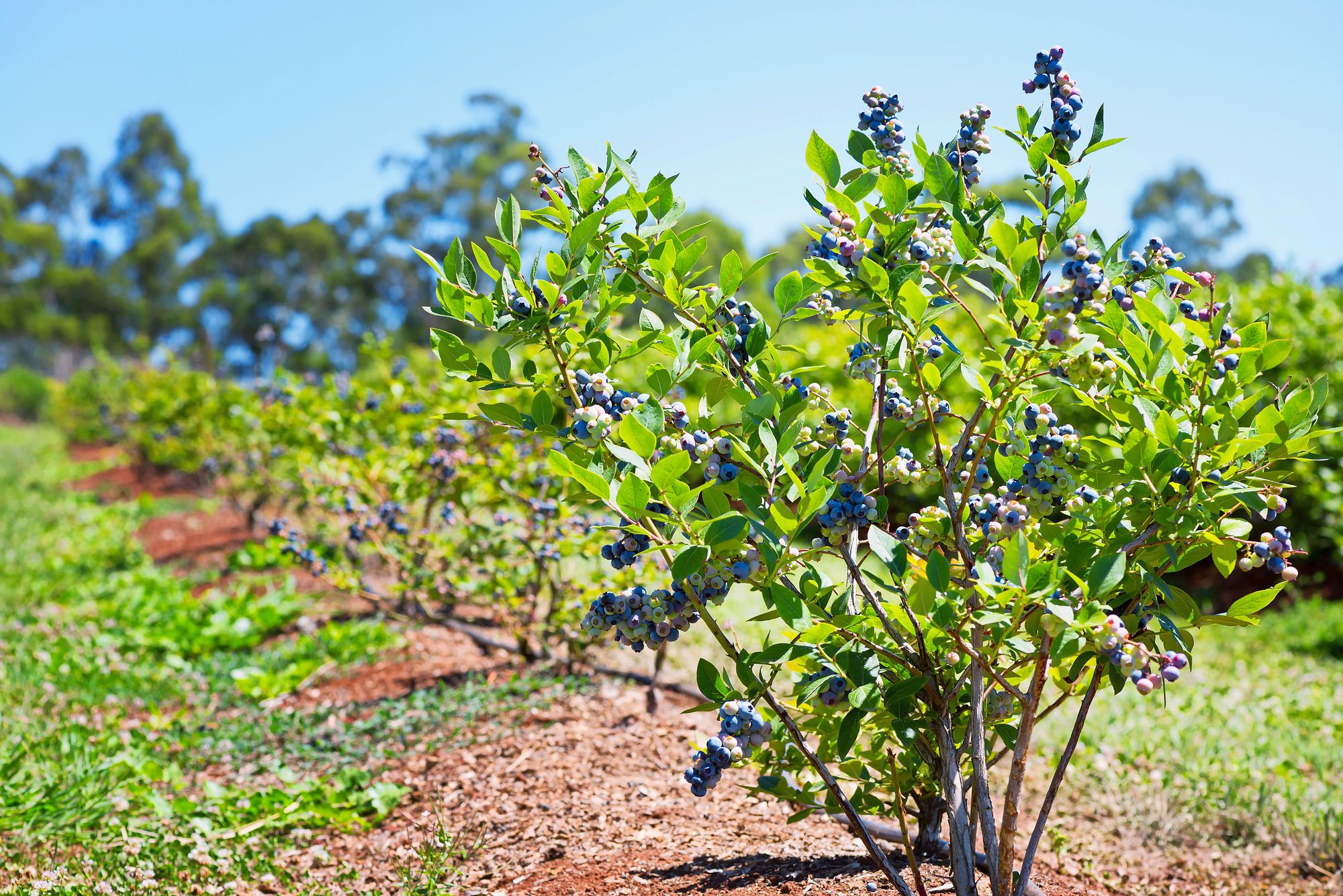 03_adobestock_242125524jpeg