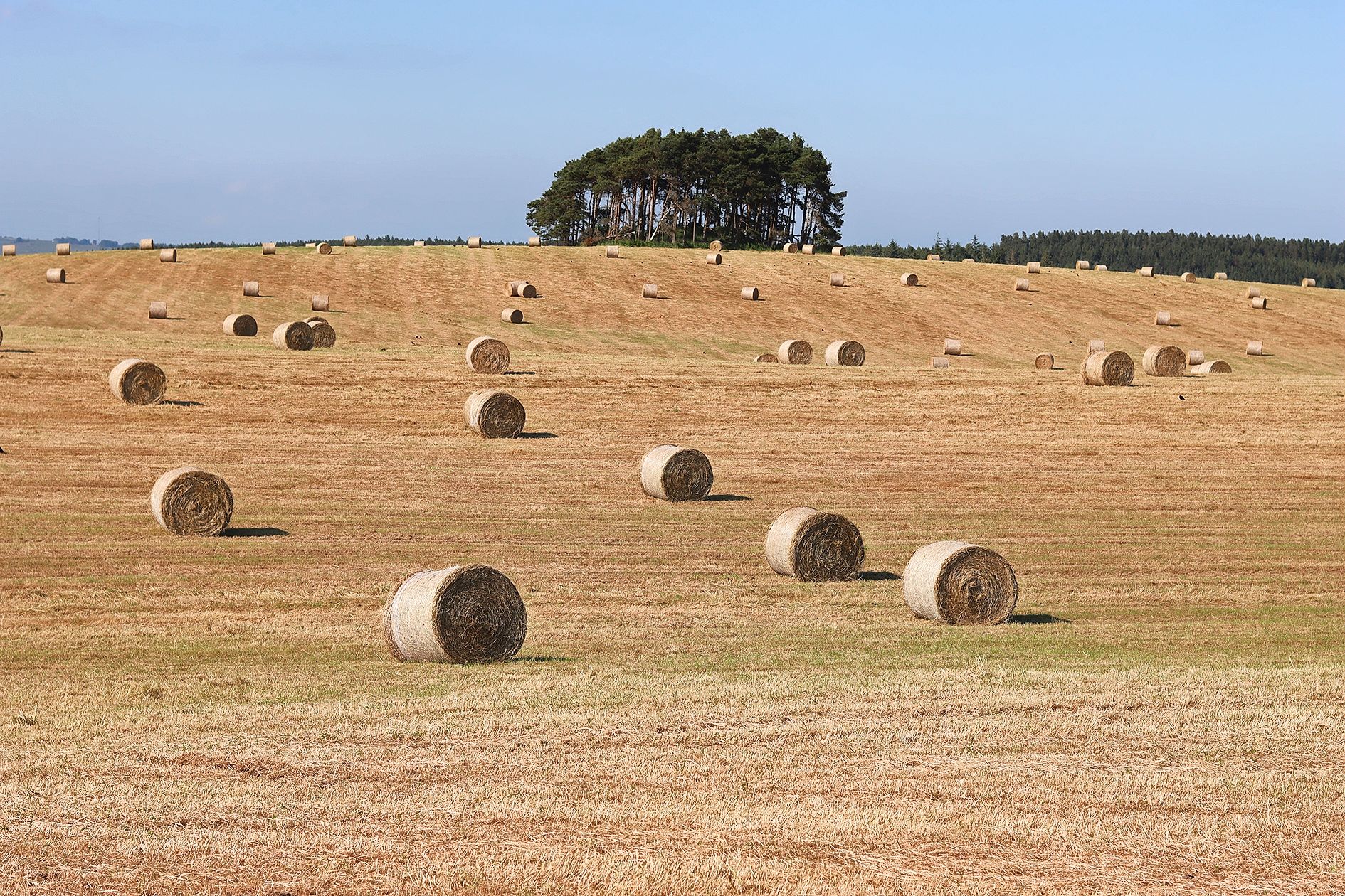 05_adobestock_1974209402jpeg