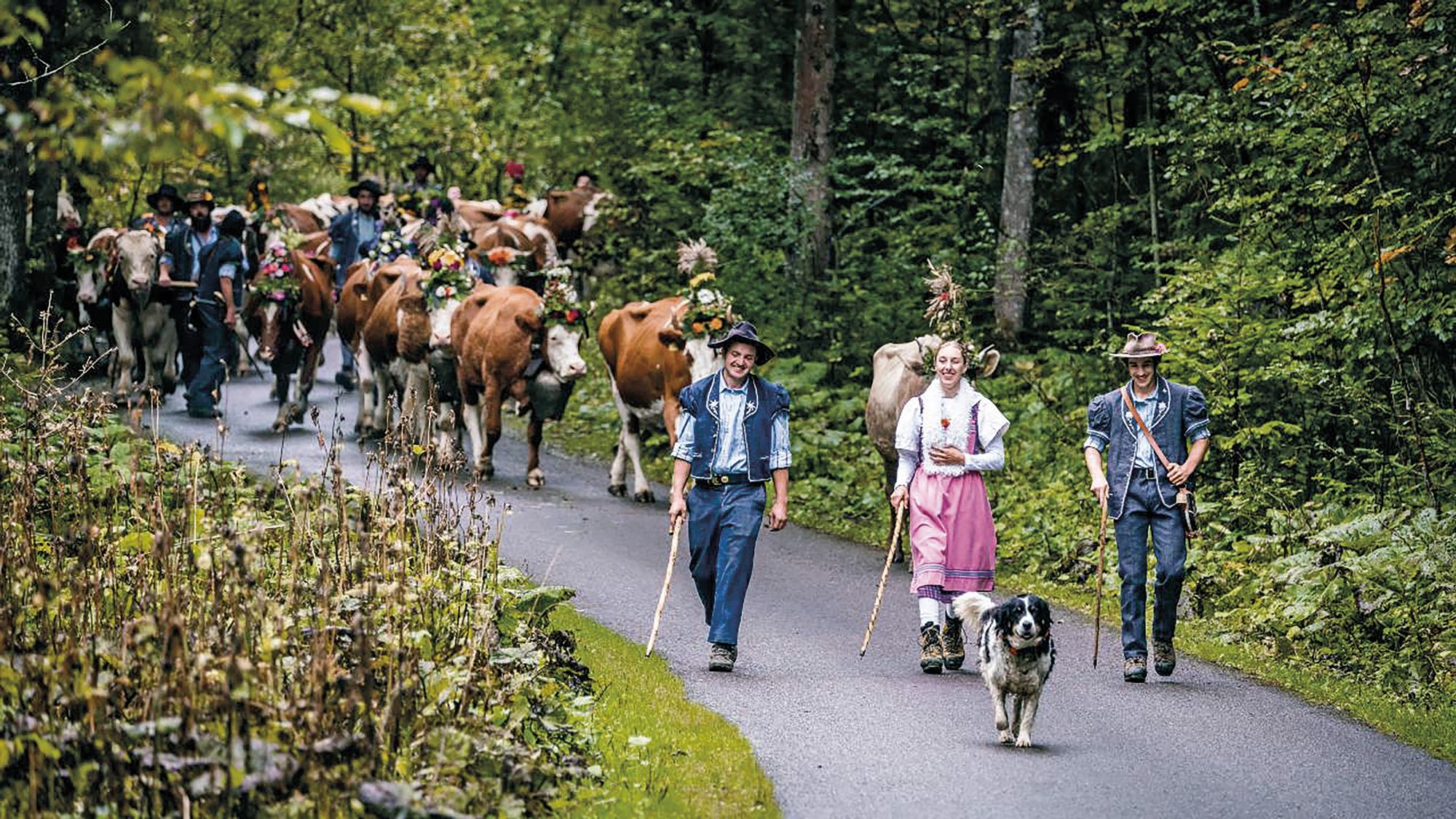 De Neuchâtel au Valais, 10 désalpes originales
