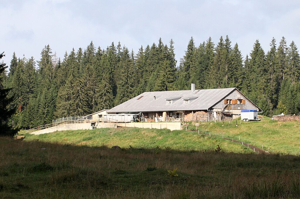 alpage-les-grands-plats-de-vent-