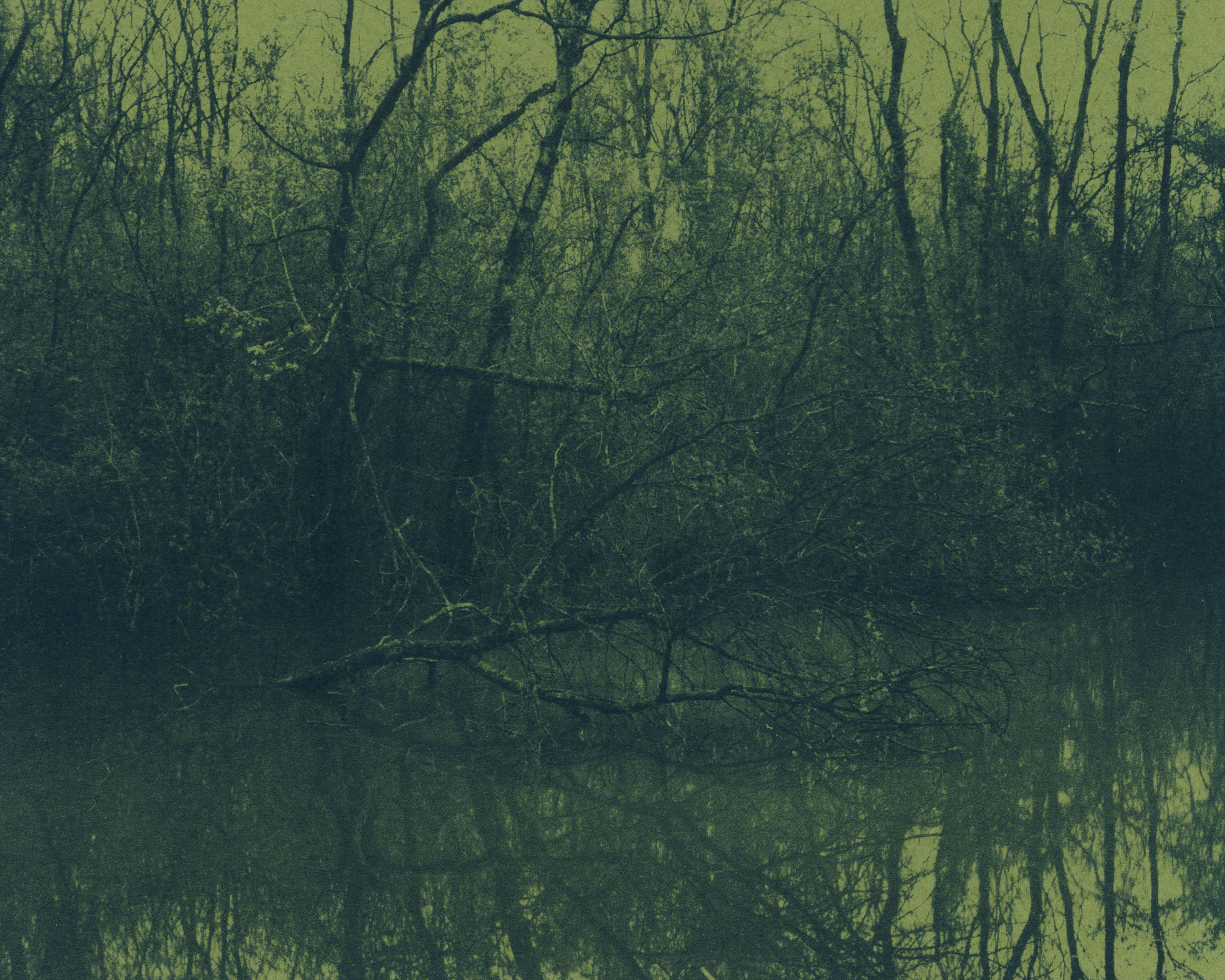 proch cyanotype_arthur lehmann