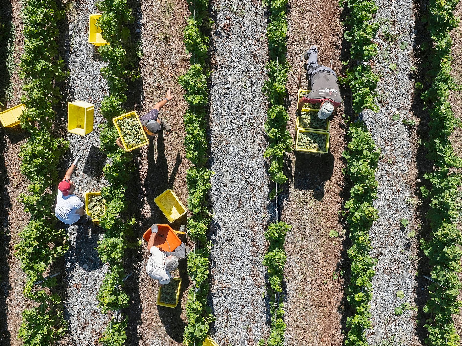 11_reportage_dji_0266_c2_0001jpeg