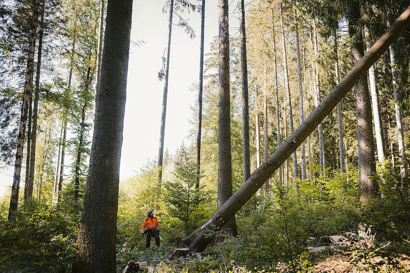 7_reportage_gm_20260911_0305jpeg