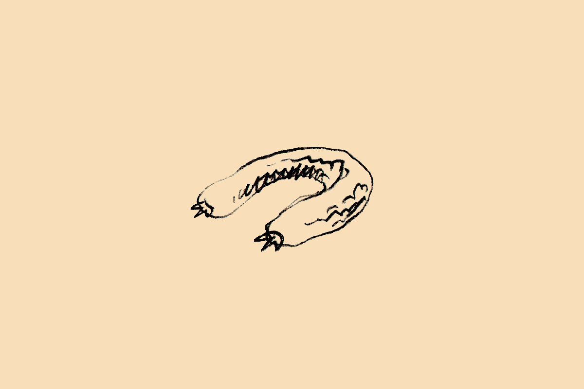 hsterroir2026_listerouge_web9png