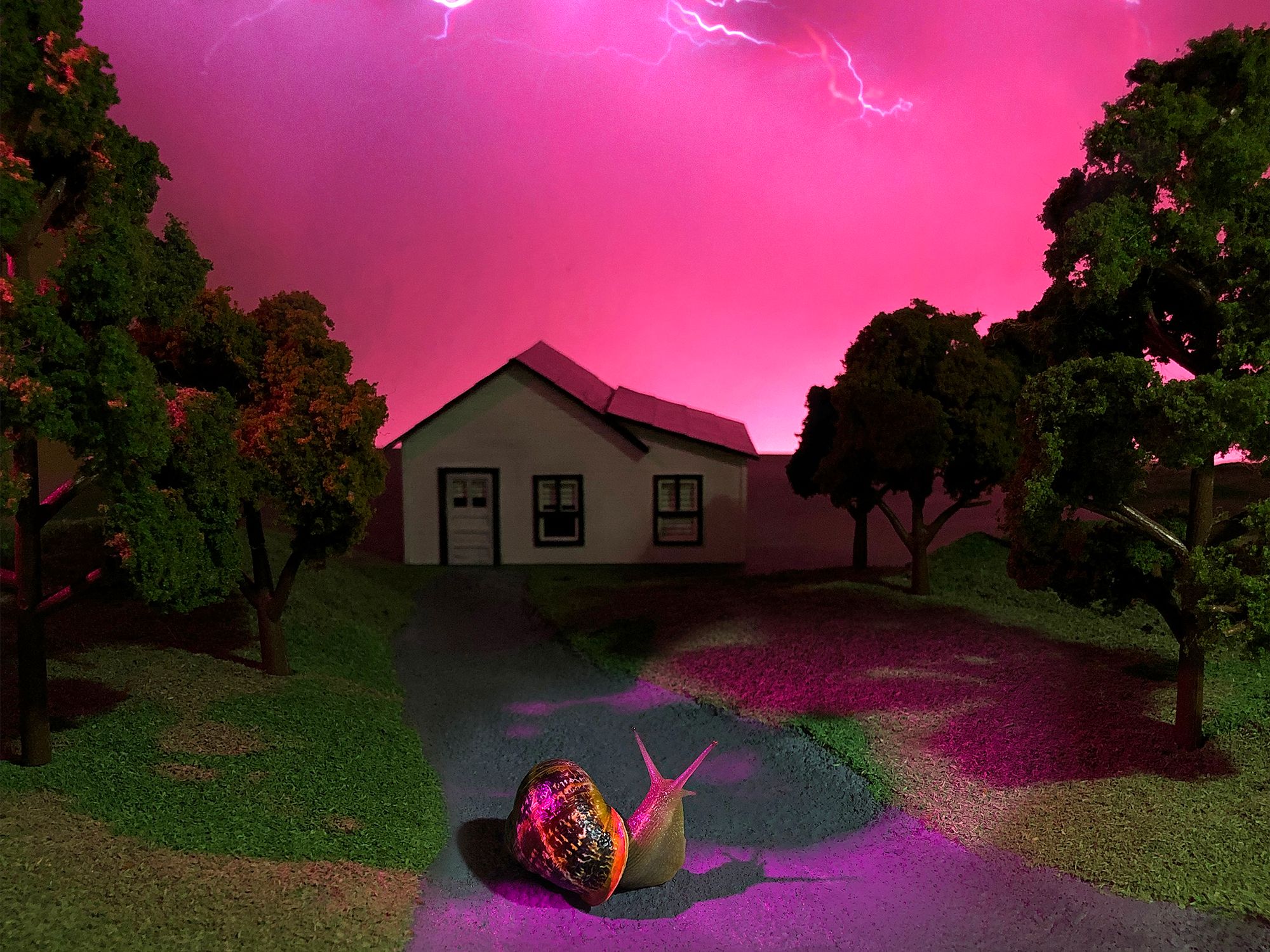 24_f_storm_1jpeg