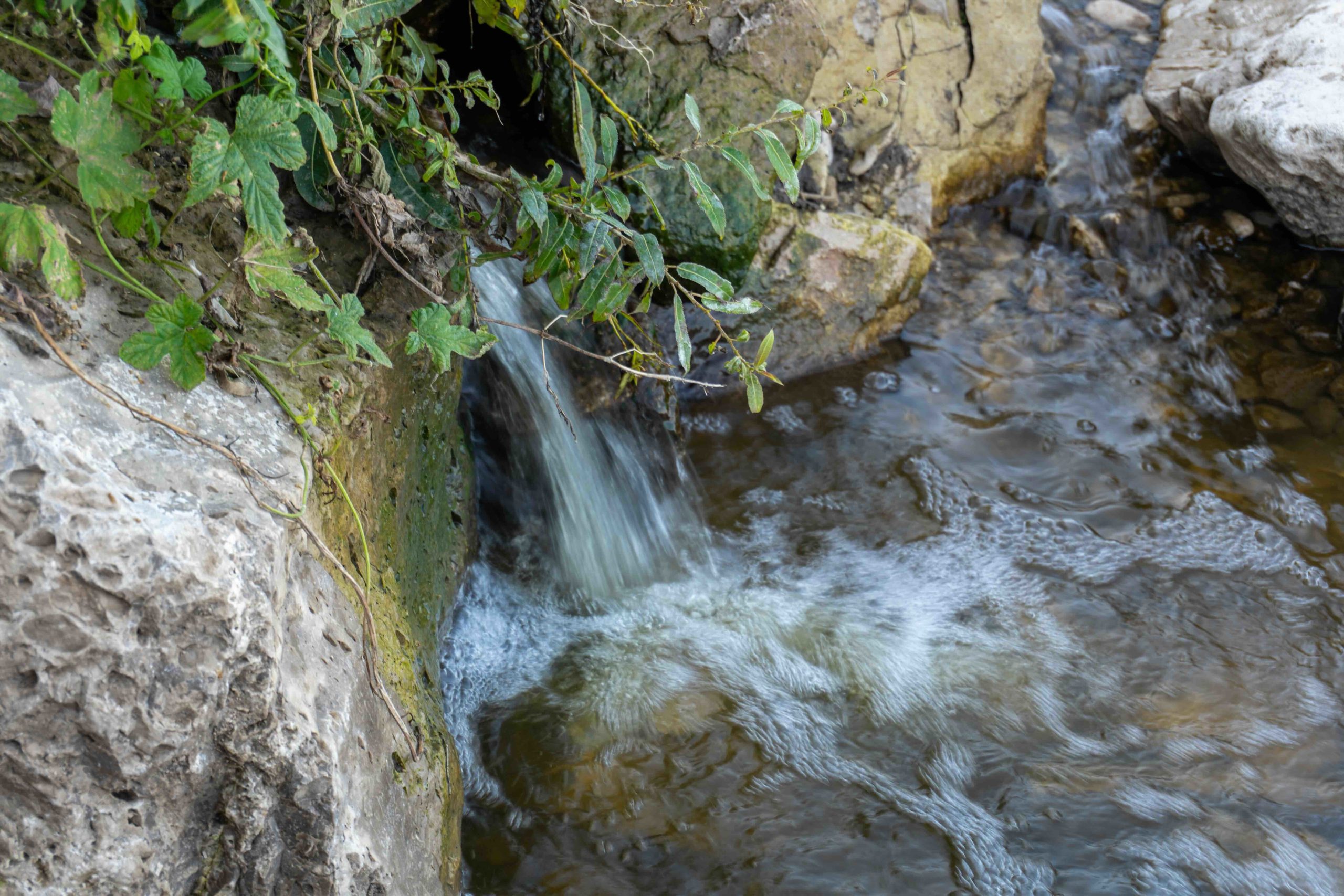 adobestock_2205677250